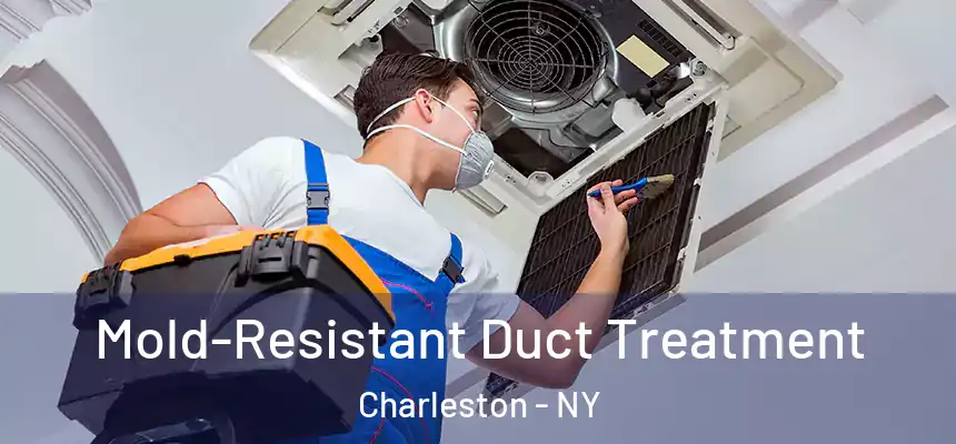  Mold-Resistant Duct Treatment Charleston - NY