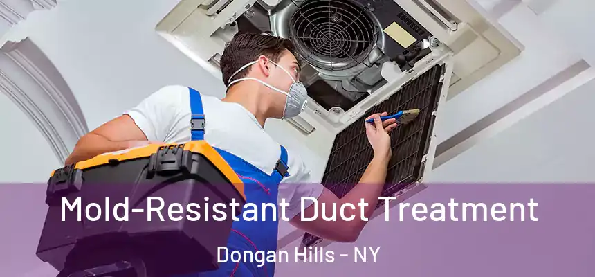  Mold-Resistant Duct Treatment Dongan Hills - NY