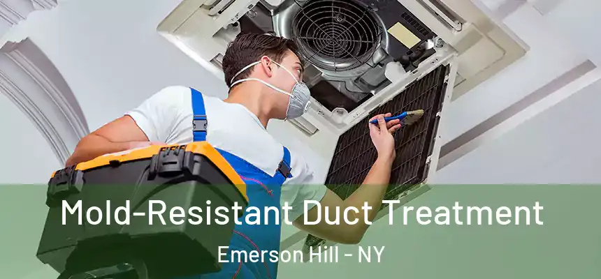  Mold-Resistant Duct Treatment Emerson Hill - NY
