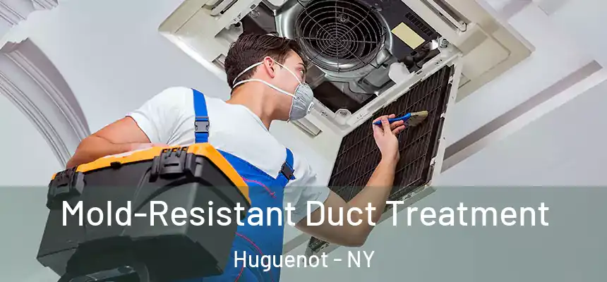  Mold-Resistant Duct Treatment Huguenot - NY