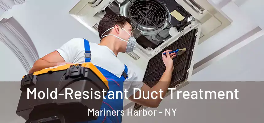 Mold-Resistant Duct Treatment Mariners Harbor - NY
