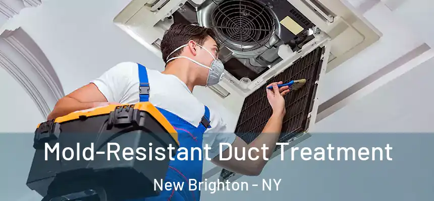  Mold-Resistant Duct Treatment New Brighton - NY