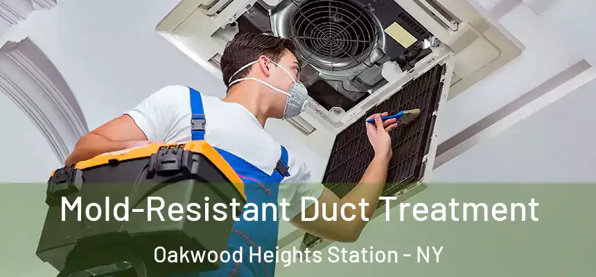  Mold-Resistant Duct Treatment Oakwood Heights Station - NY