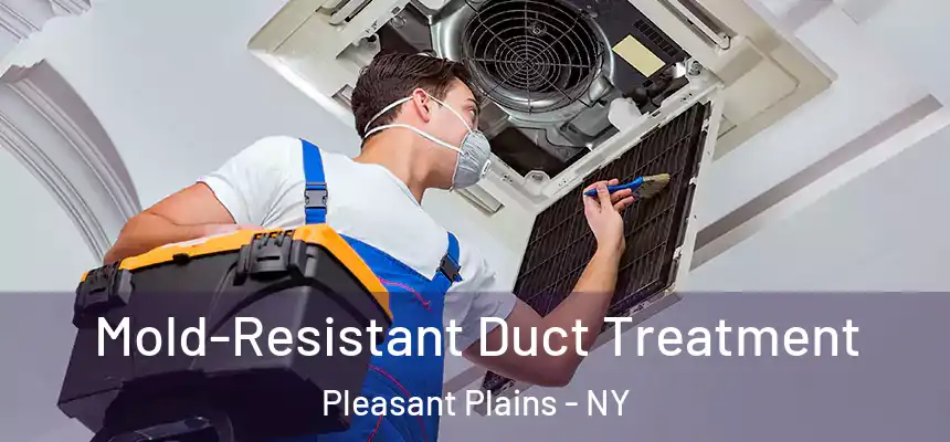 Mold-Resistant Duct Treatment Pleasant Plains - NY