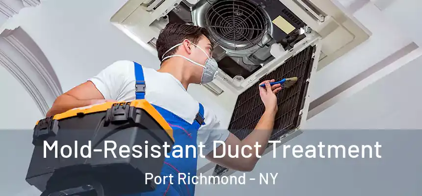  Mold-Resistant Duct Treatment Port Richmond - NY