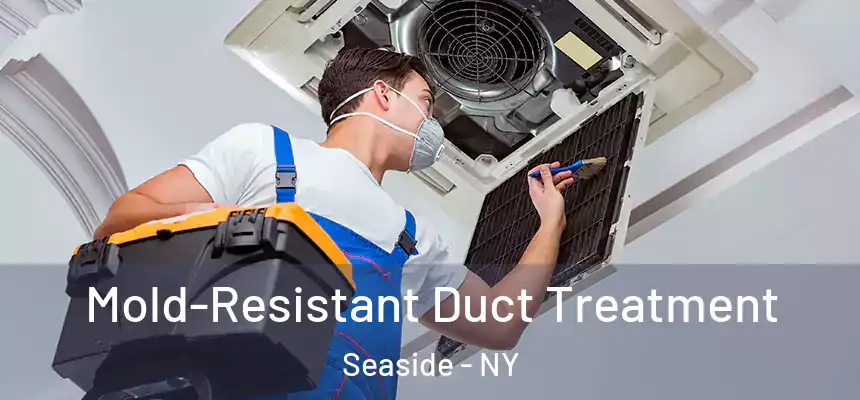  Mold-Resistant Duct Treatment Seaside - NY