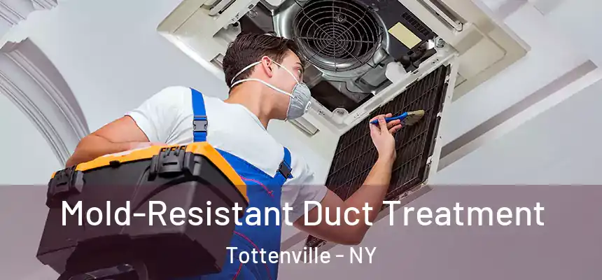  Mold-Resistant Duct Treatment Tottenville - NY