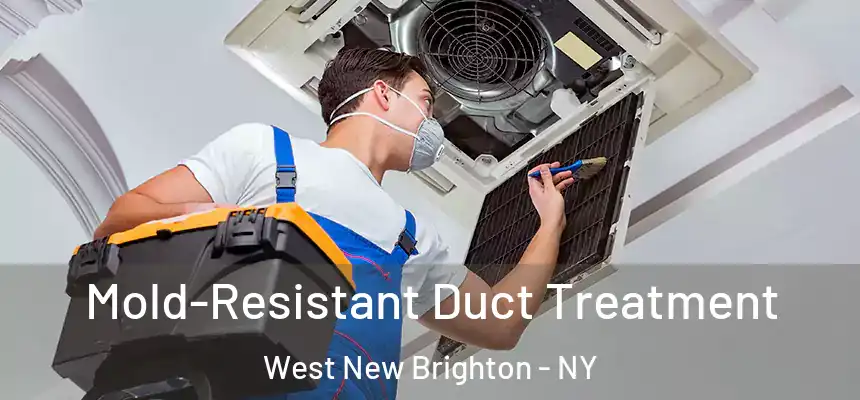 Mold-Resistant Duct Treatment West New Brighton - NY