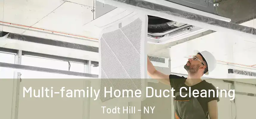 Multi-family Home Duct Cleaning Todt Hill - NY