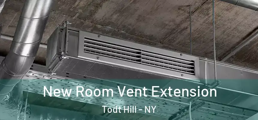  New Room Vent Extension Todt Hill - NY