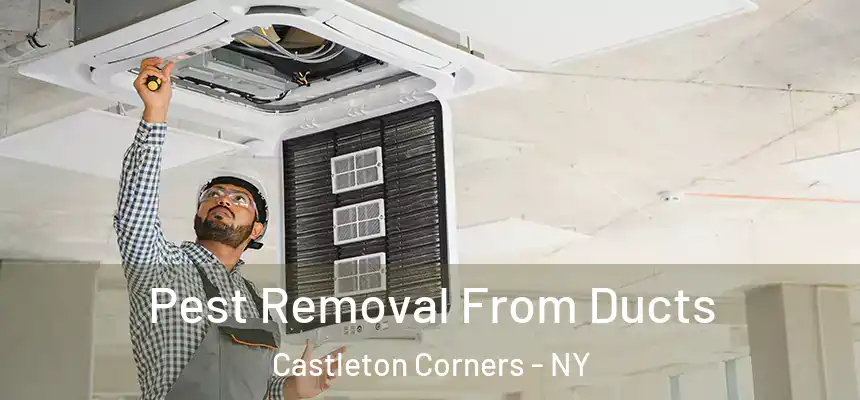  Pest Removal From Ducts Castleton Corners - NY