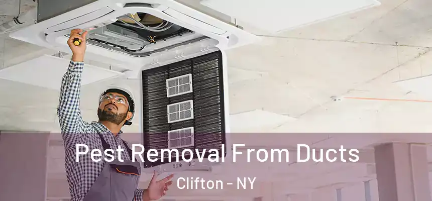 Pest Removal From Ducts Clifton - NY