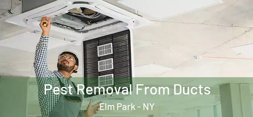 Pest Removal From Ducts Elm Park - NY