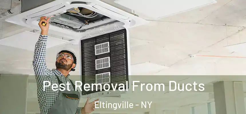 Pest Removal From Ducts Eltingville - NY