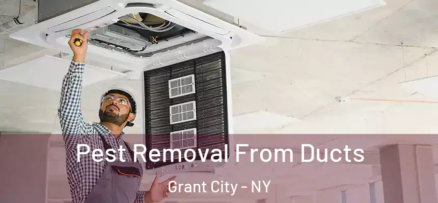 Pest Removal From Ducts Grant City - NY