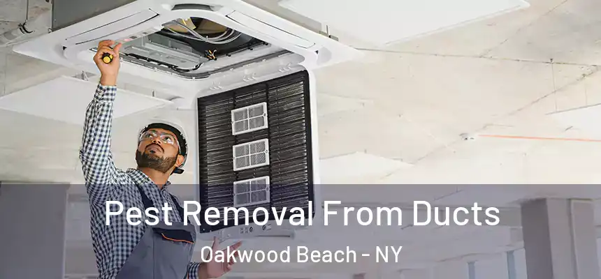  Pest Removal From Ducts Oakwood Beach - NY