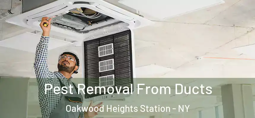 Pest Removal From Ducts Oakwood Heights Station - NY