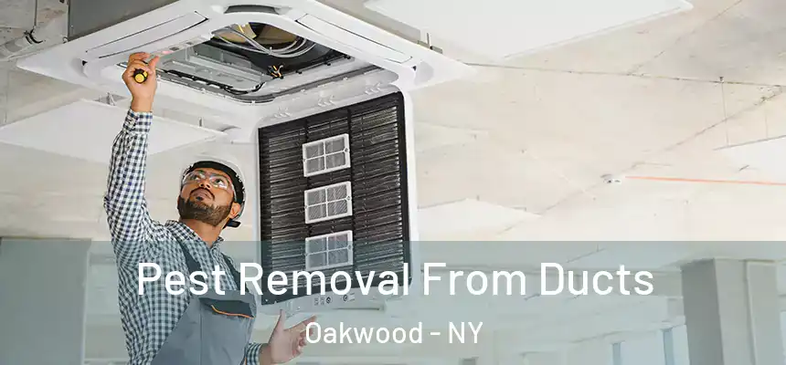 Pest Removal From Ducts Oakwood - NY