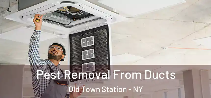 Pest Removal From Ducts Old Town Station - NY