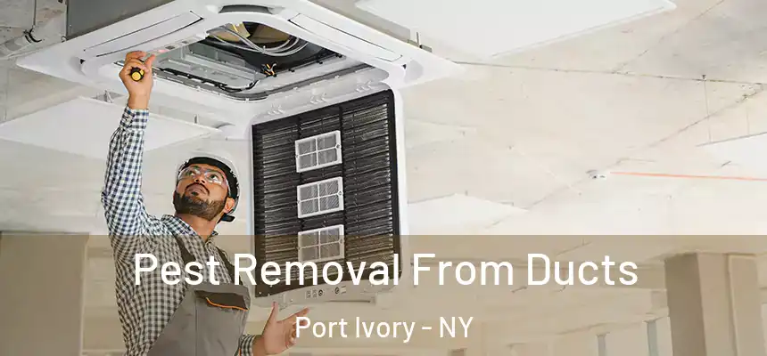 Pest Removal From Ducts Port Ivory - NY