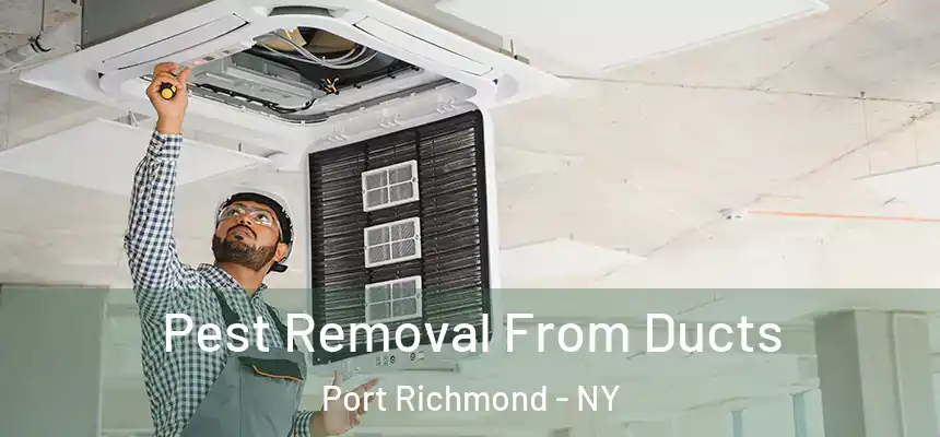 Pest Removal From Ducts Port Richmond - NY