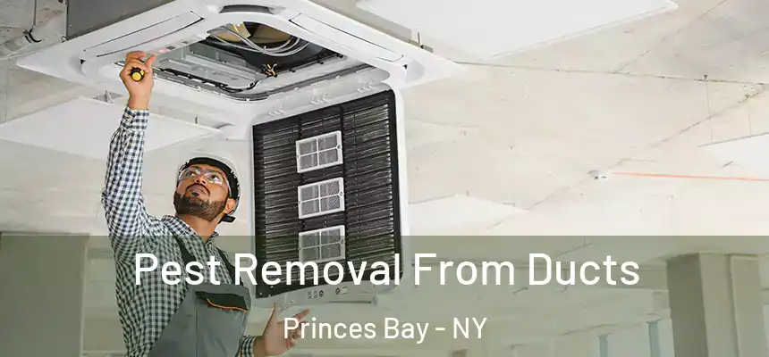  Pest Removal From Ducts Princes Bay - NY