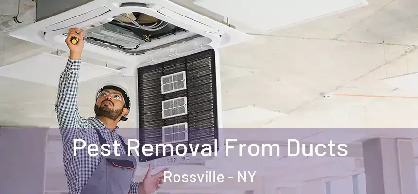  Pest Removal From Ducts Rossville - NY