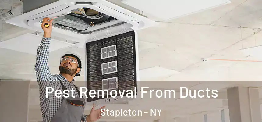  Pest Removal From Ducts Stapleton - NY