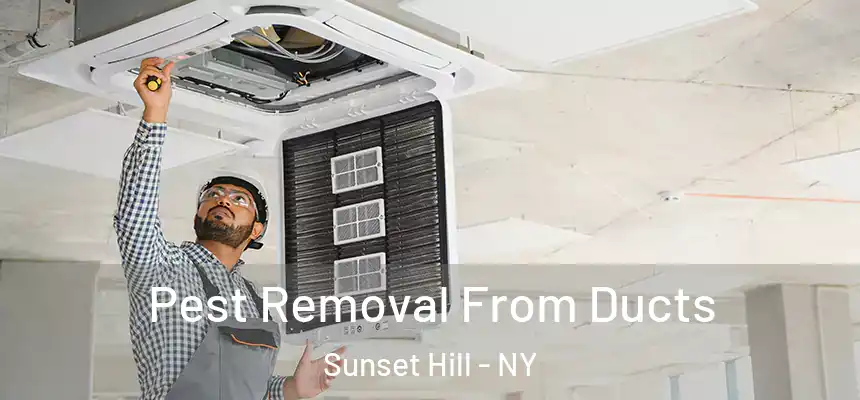  Pest Removal From Ducts Sunset Hill - NY