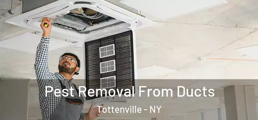Pest Removal From Ducts Tottenville - NY