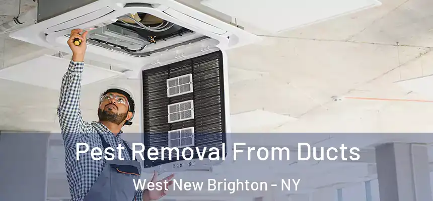 Pest Removal From Ducts West New Brighton - NY