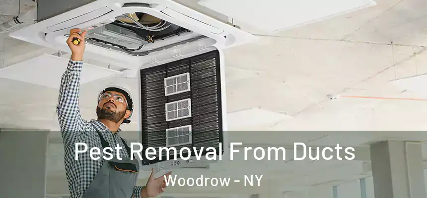  Pest Removal From Ducts Woodrow - NY
