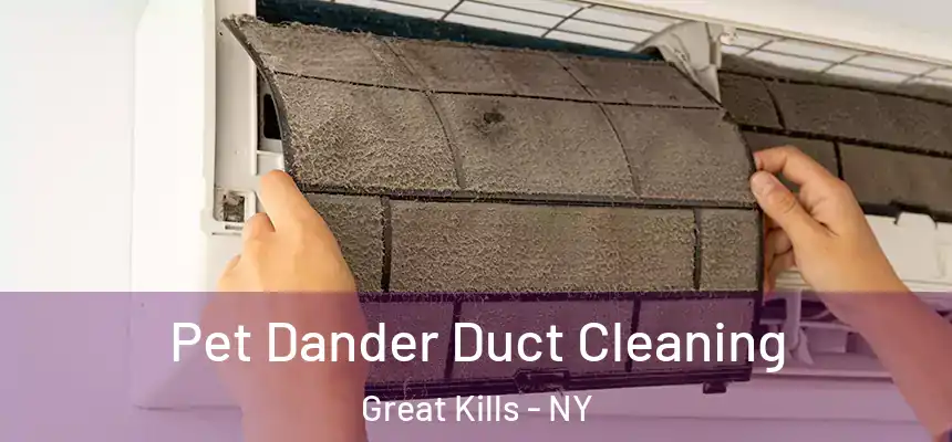 Pet Dander Duct Cleaning Great Kills - NY