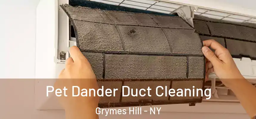 Pet Dander Duct Cleaning Grymes Hill - NY