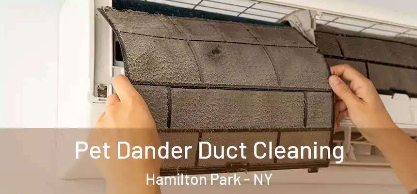  Pet Dander Duct Cleaning Hamilton Park - NY