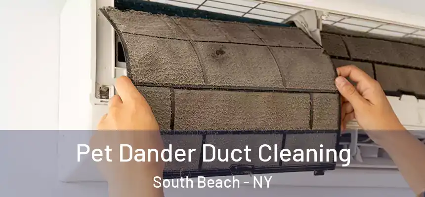 Pet Dander Duct Cleaning South Beach - NY