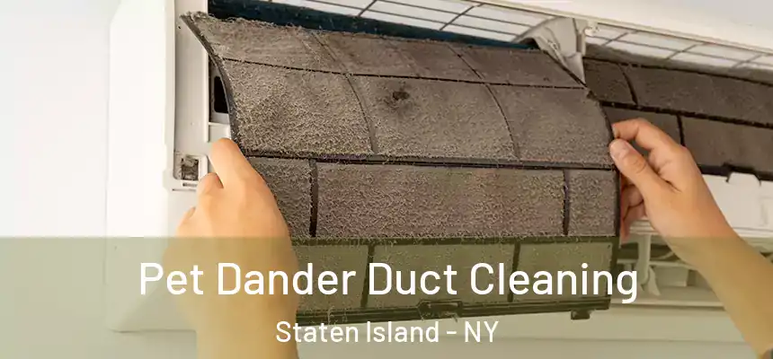 Pet Dander Duct Cleaning Staten Island - NY