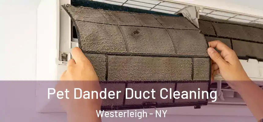  Pet Dander Duct Cleaning Westerleigh - NY
