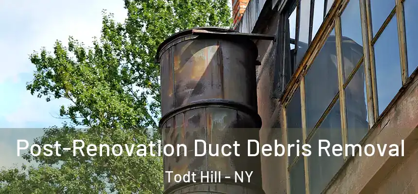 Post-Renovation Duct Debris Removal Todt Hill - NY