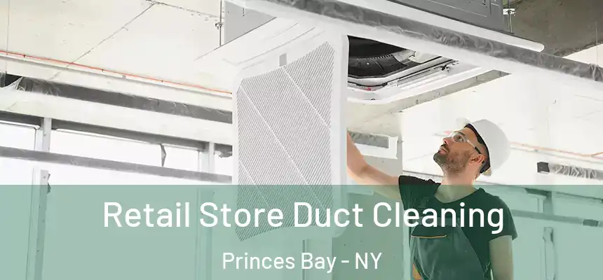 Retail Store Duct Cleaning Princes Bay - NY