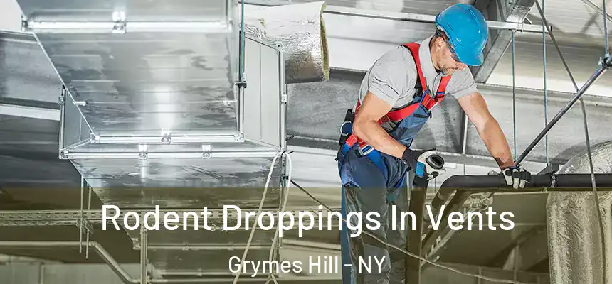  Rodent Droppings In Vents Grymes Hill - NY