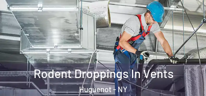 Rodent Droppings In Vents Huguenot - NY