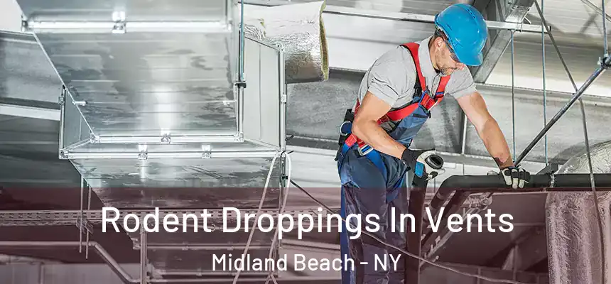 Rodent Droppings In Vents Midland Beach - NY
