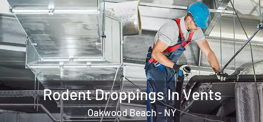  Rodent Droppings In Vents Oakwood Beach - NY