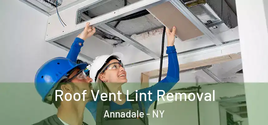 Roof Vent Lint Removal Annadale - NY