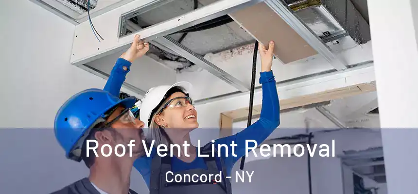  Roof Vent Lint Removal Concord - NY