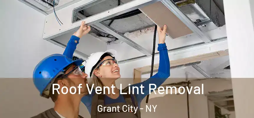  Roof Vent Lint Removal Grant City - NY