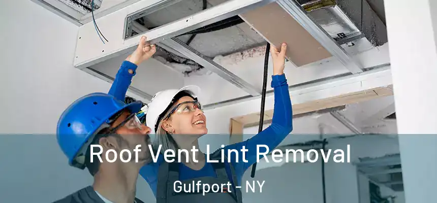  Roof Vent Lint Removal Gulfport - NY