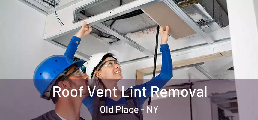 Roof Vent Lint Removal Old Place - NY