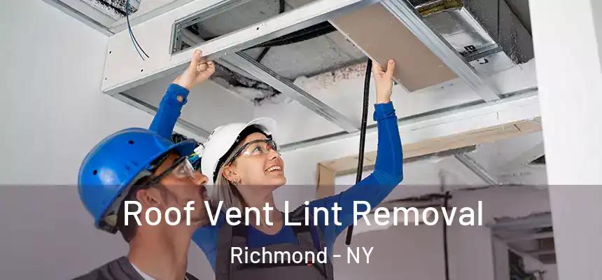 Roof Vent Lint Removal Richmond - NY